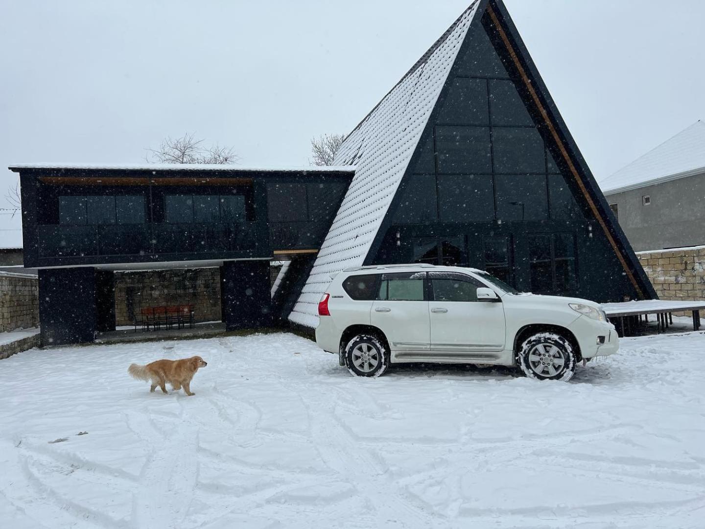 Qafqaz Wood Chalet Gabala Bagian luar foto